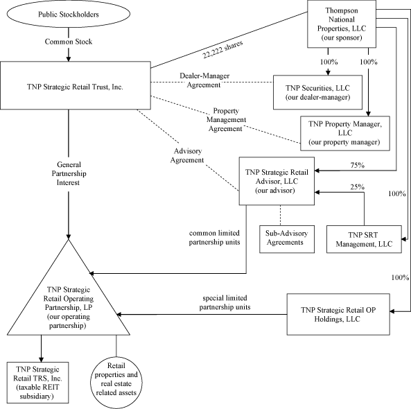 (Organization Chart)